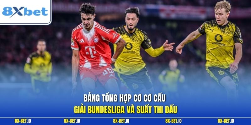 Bảng tổng hợp cơ cơ cấu giải Bundesliga và suất thi đấu