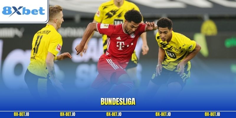 Bundesliga | Tìm Hiểu Thể Thức Và Mẹo Soi Kèo Thắng Lớn