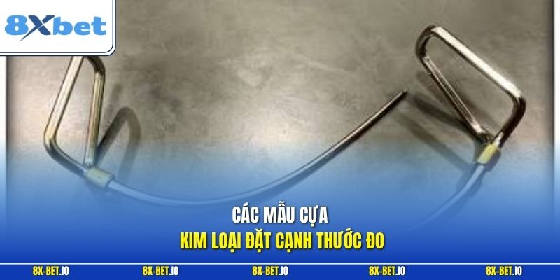 Các mẫu cựa kim loại đặt cạnh thước đo