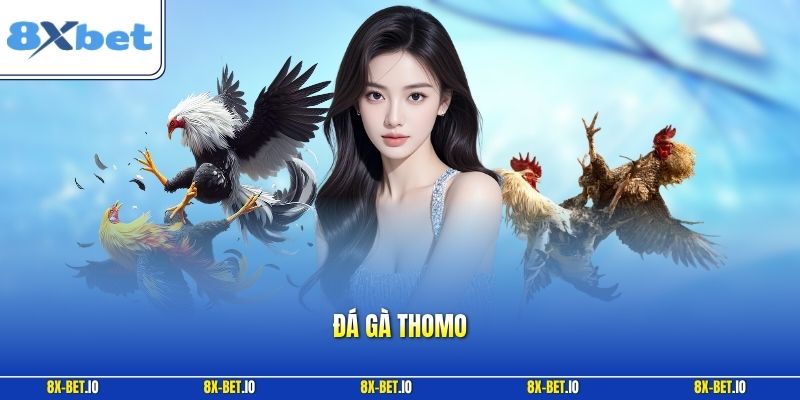 Đá gà Thomo