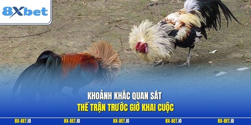 Khoảnh khắc quan sát thế trận trước giờ khai cuộc