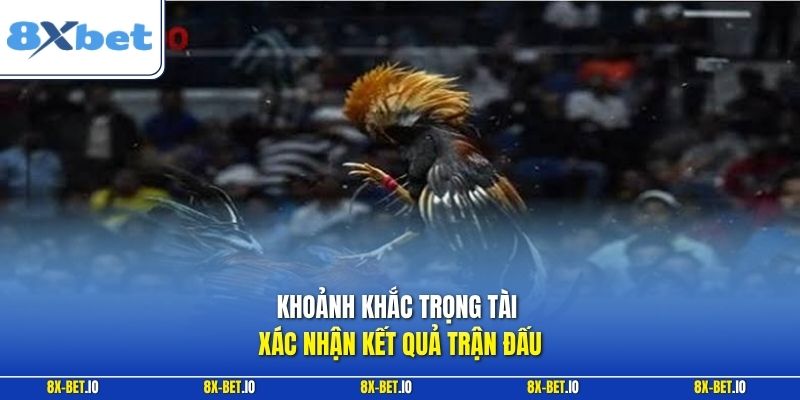 Khoảnh khắc trọng tài xác nhận kết quả trận đấu