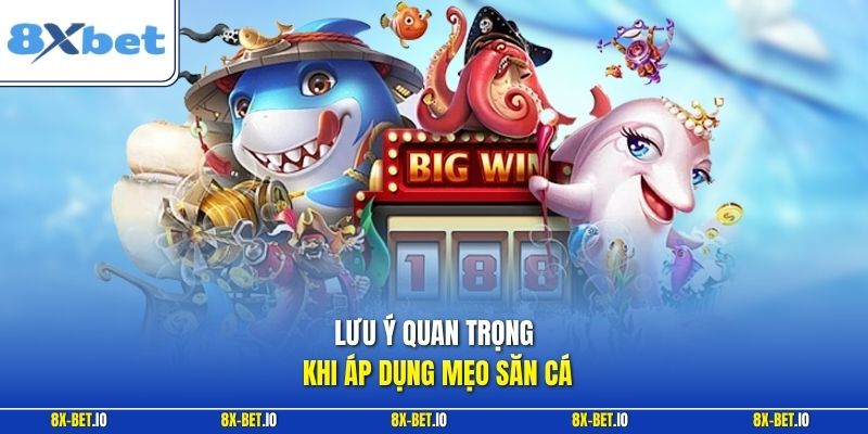 Lưu ý quan trọng khi áp dụng mẹo săn cá