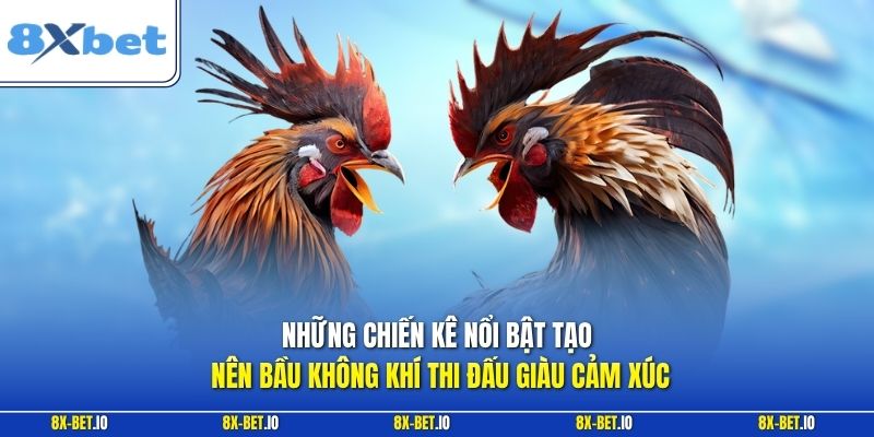 Những chiến kê nổi bật tạo nên bầu không khí thi đấu giàu cảm xúc