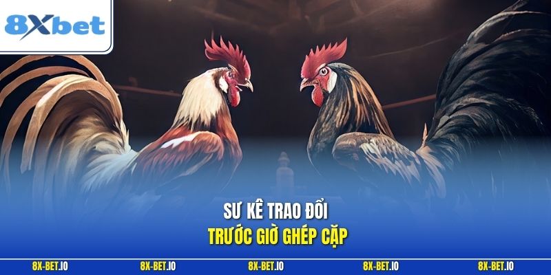 Sư kê trao đổi trước giờ ghép cặp