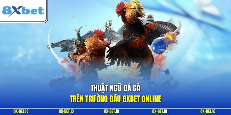 Thuật ngữ đá gà trên trường đấu 8xbet online