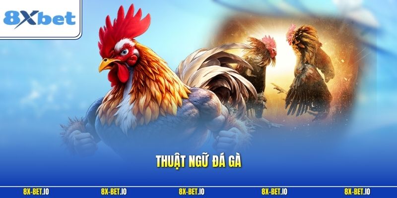 Thuật ngữ đá gà