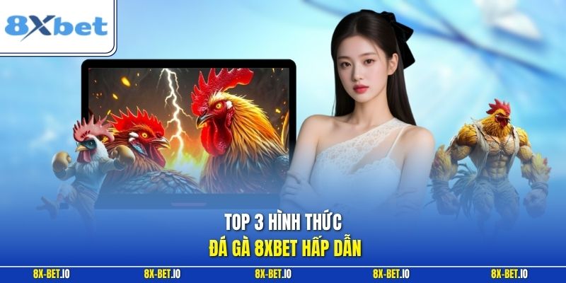 Top 3 hình thức đá gà 8xbet hấp dẫn